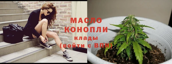 гидра Абаза