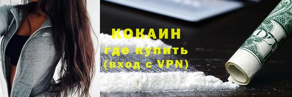 гидра Абаза